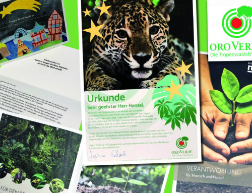 ORO Verde – Jetzt handeln und Regenwald retten!